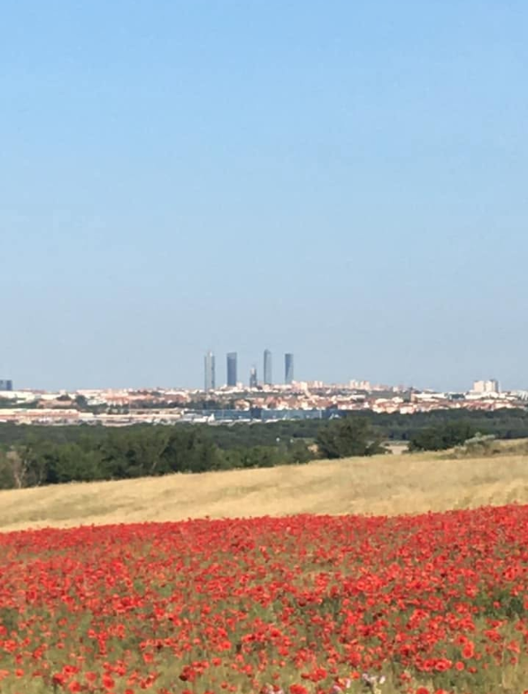 Paracuellos con Madrid al fondo